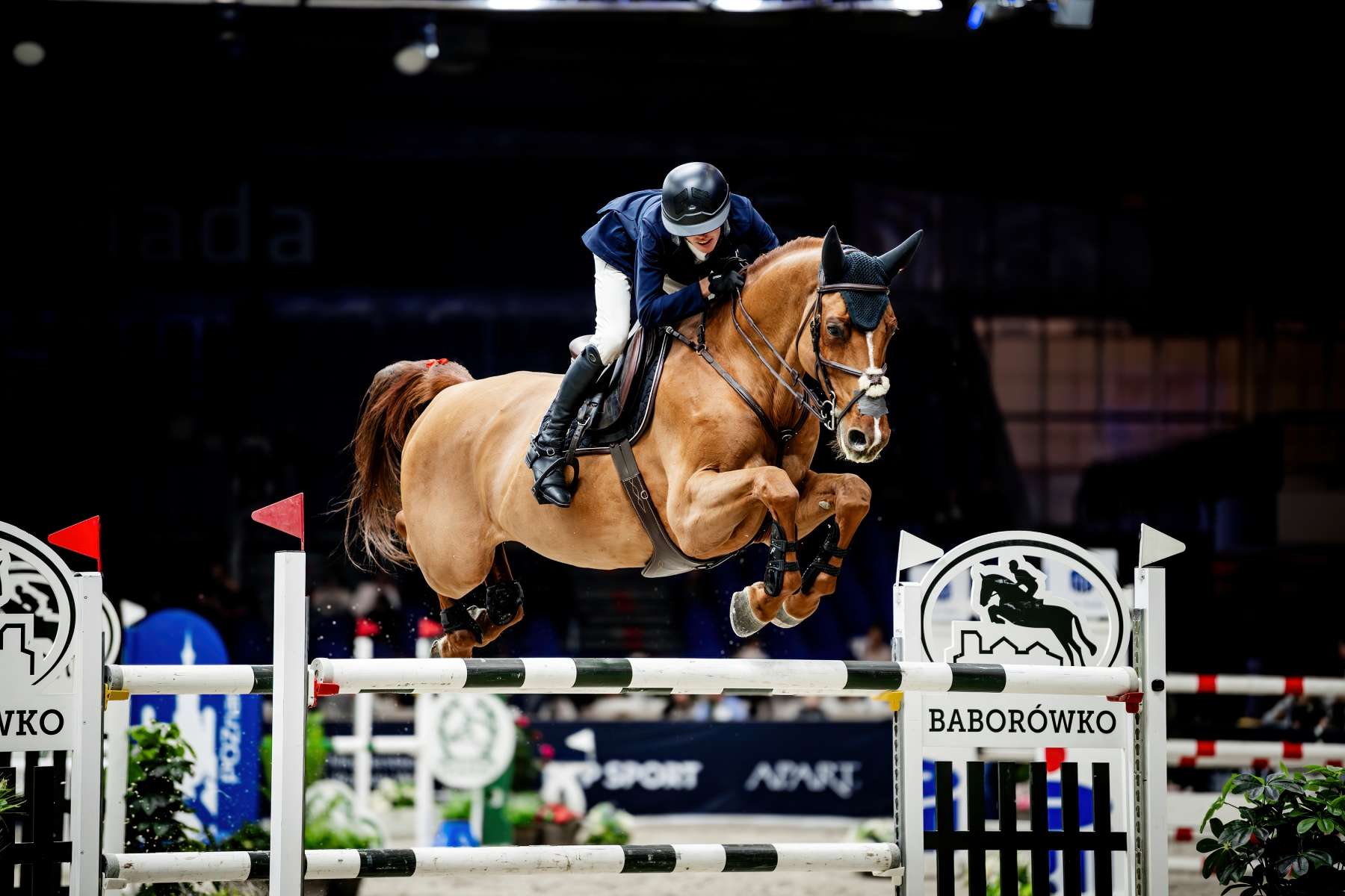 Eq Equishop-na-Cavaliada-2025-26 (2)_1